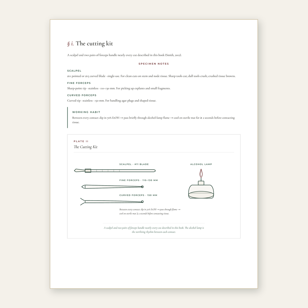The Tissue Culture Guide - Edition 1