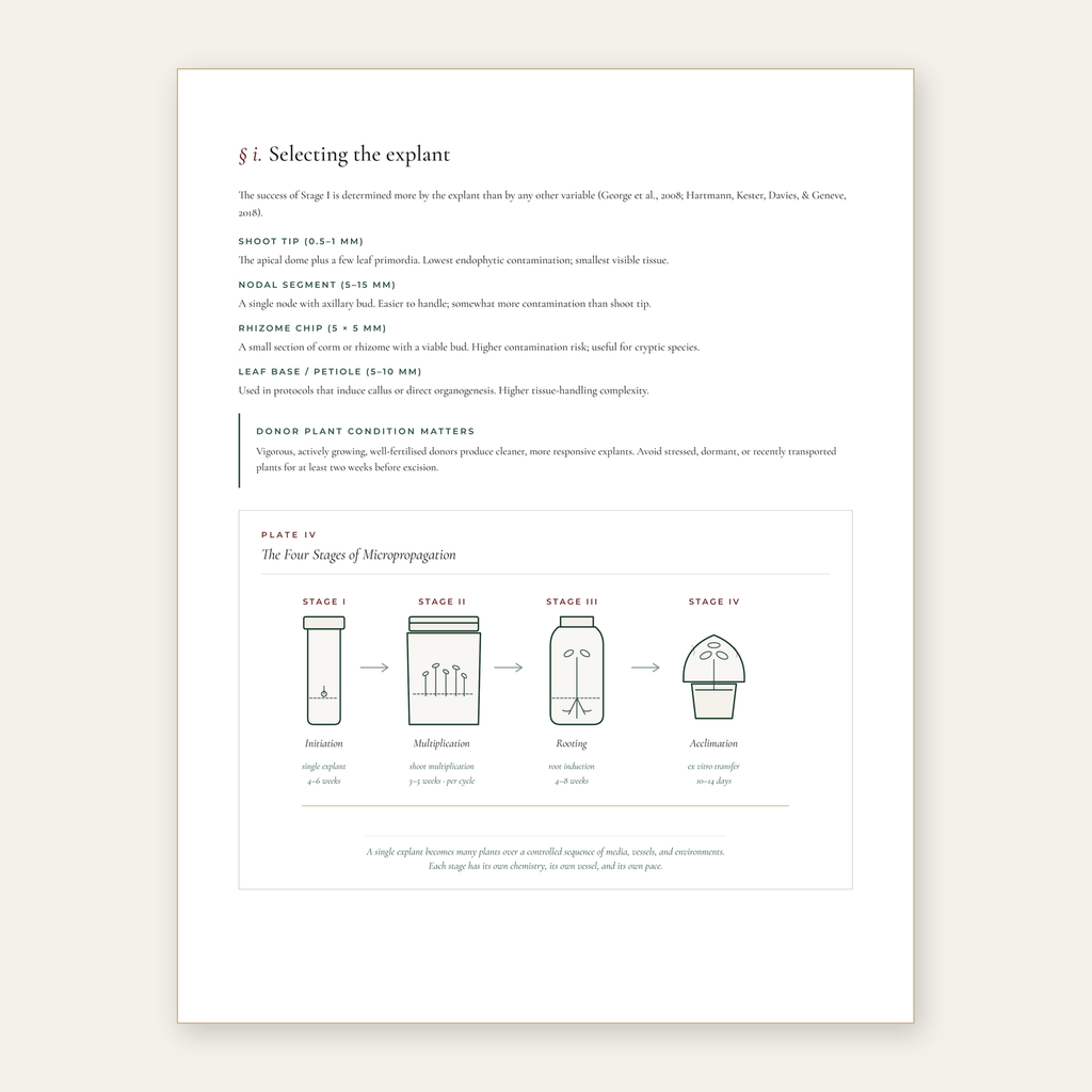 The Tissue Culture Guide - Edition 1