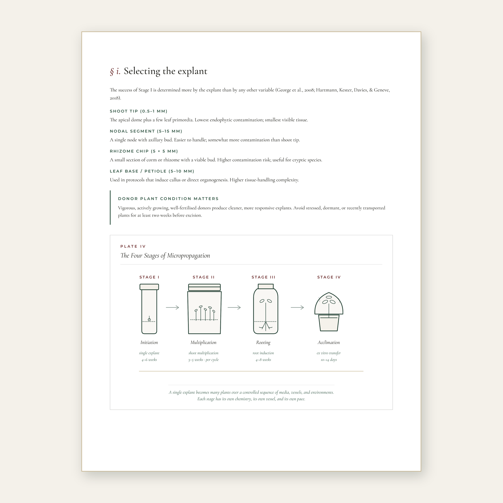The Tissue Culture Guide - Edition 1