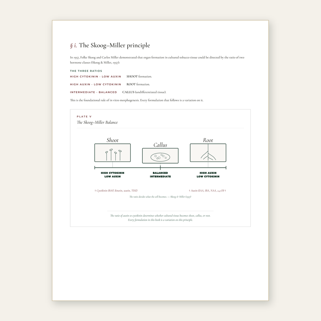 The Tissue Culture Guide - Edition 1