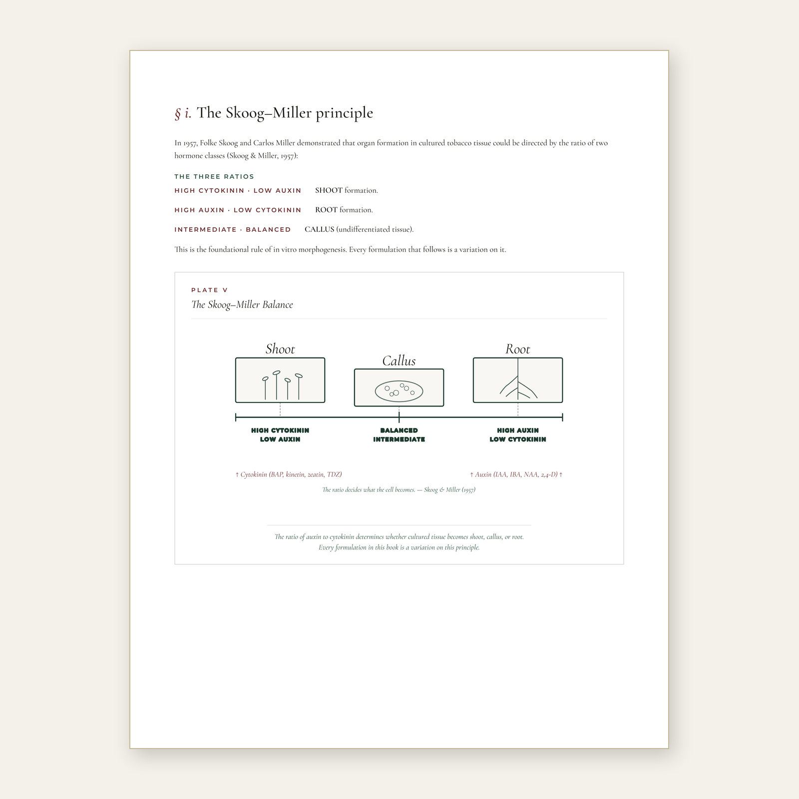 The Tissue Culture Guide - Edition 1