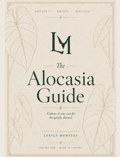 Book Cover Variant Thumbnail