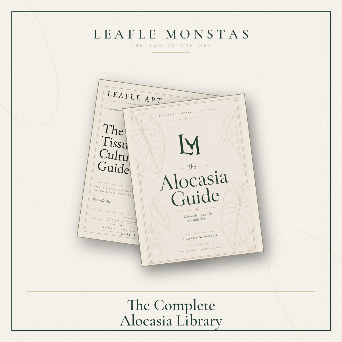 The Alocasia Guide - Edition 1